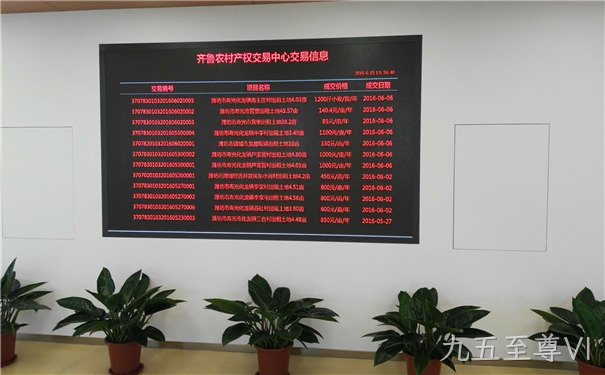 金昌西海岸农村产权交易中心 P2.5